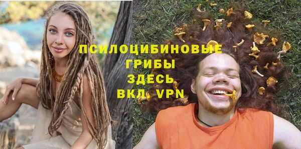 гидра Арсеньев