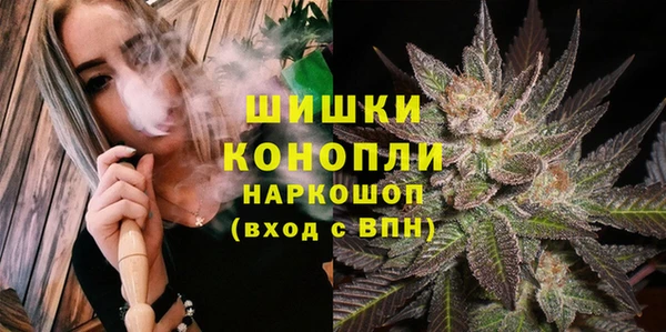 гидра Арсеньев
