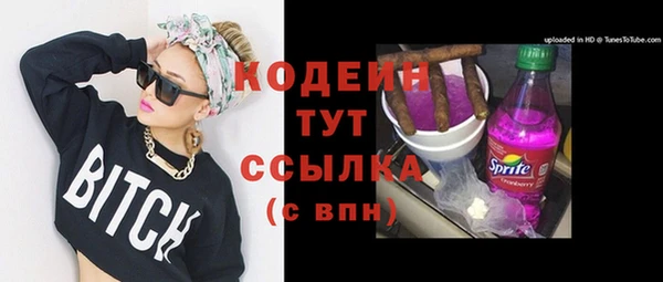 гидра Арсеньев